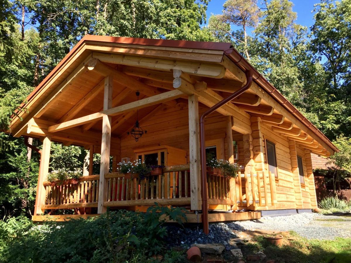 Blockhaus Chalet Mit Beheizbarem Badefass Und Infrarotsauna Auf Der Terrasse Oberschützen エクステリア 写真