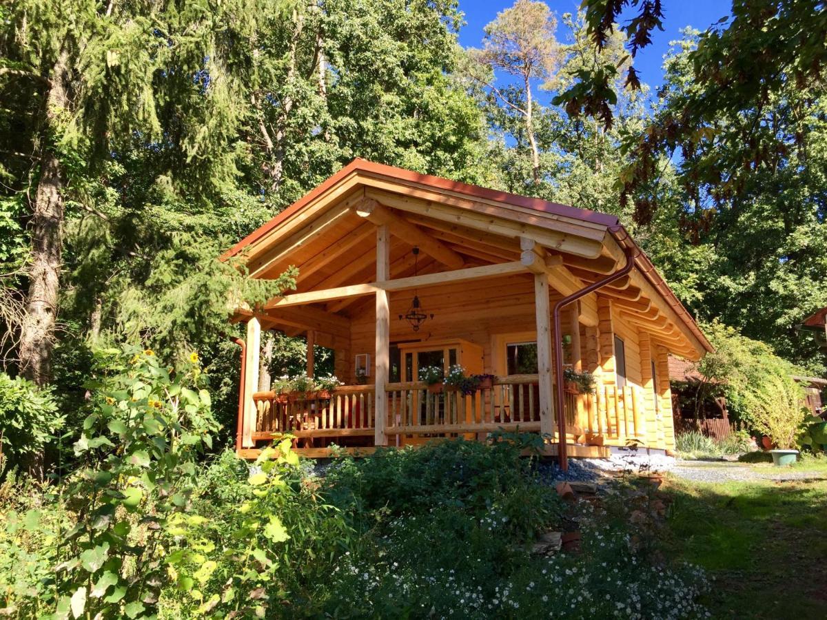 Blockhaus Chalet Mit Beheizbarem Badefass Und Infrarotsauna Auf Der Terrasse Oberschützen エクステリア 写真